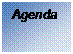 Zone de Texte: Agenda

