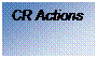Zone de Texte: CR Actions

