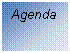Zone de Texte: Agenda


