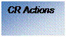 Zone de Texte: CR Actions

